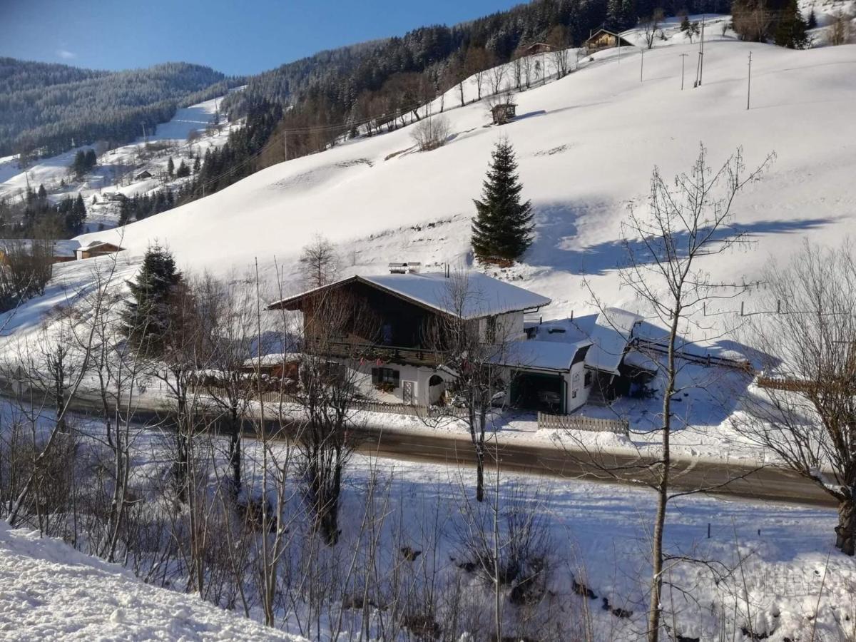 Apartment In Dienten With Mountain Views Dienten am Hochkönig Exterior photo